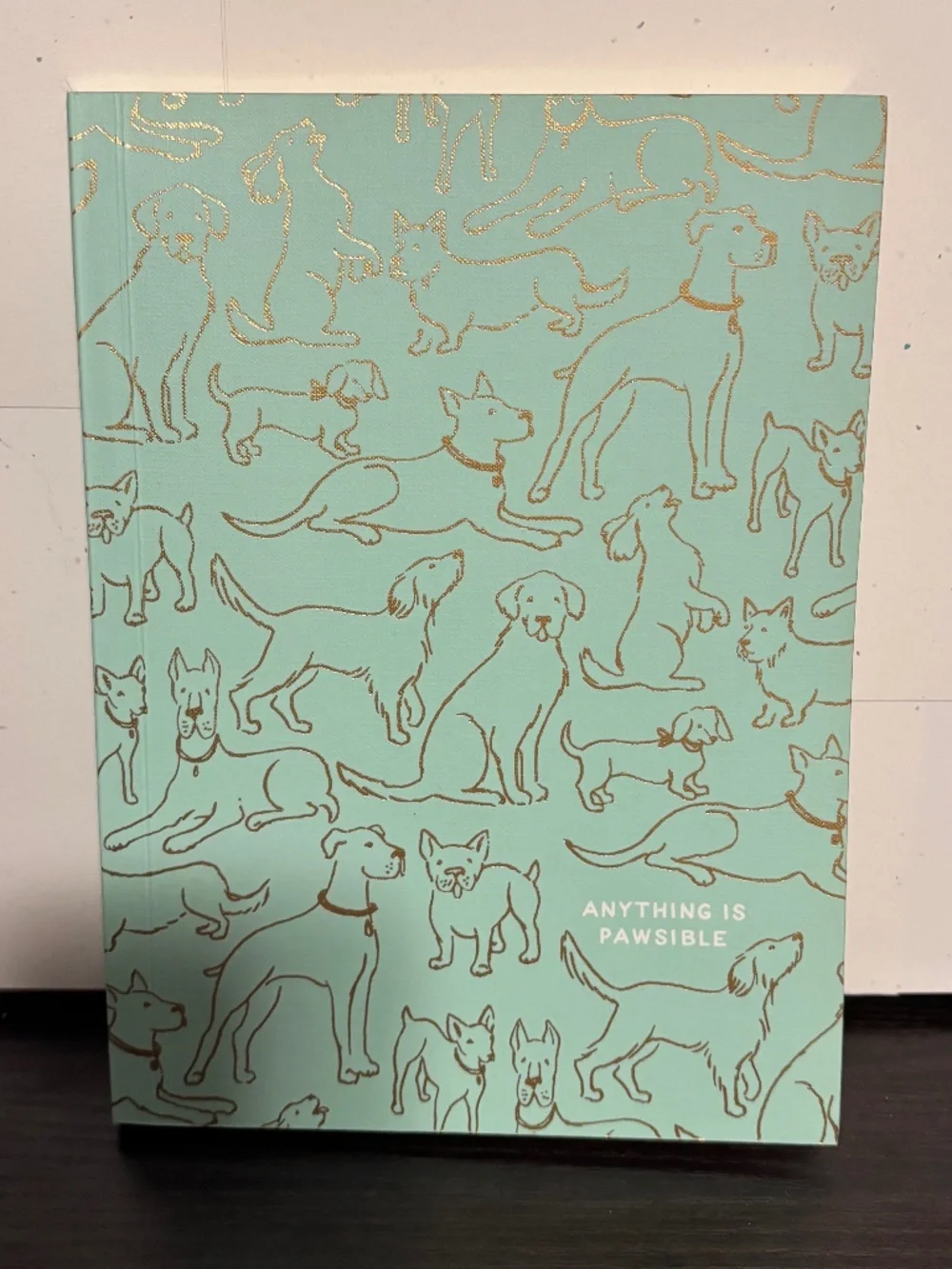 Anything is PAWSIBLE Dog Journal